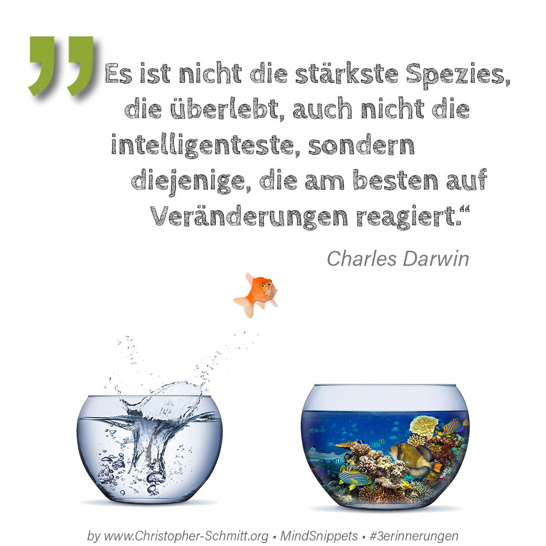 Passendes Bild zum Zitat von Charles Darwin: Es ist nicht die stärkste Spezies, die ... Passendes Social-Media-Bild zum Zitat von Charles Darwin