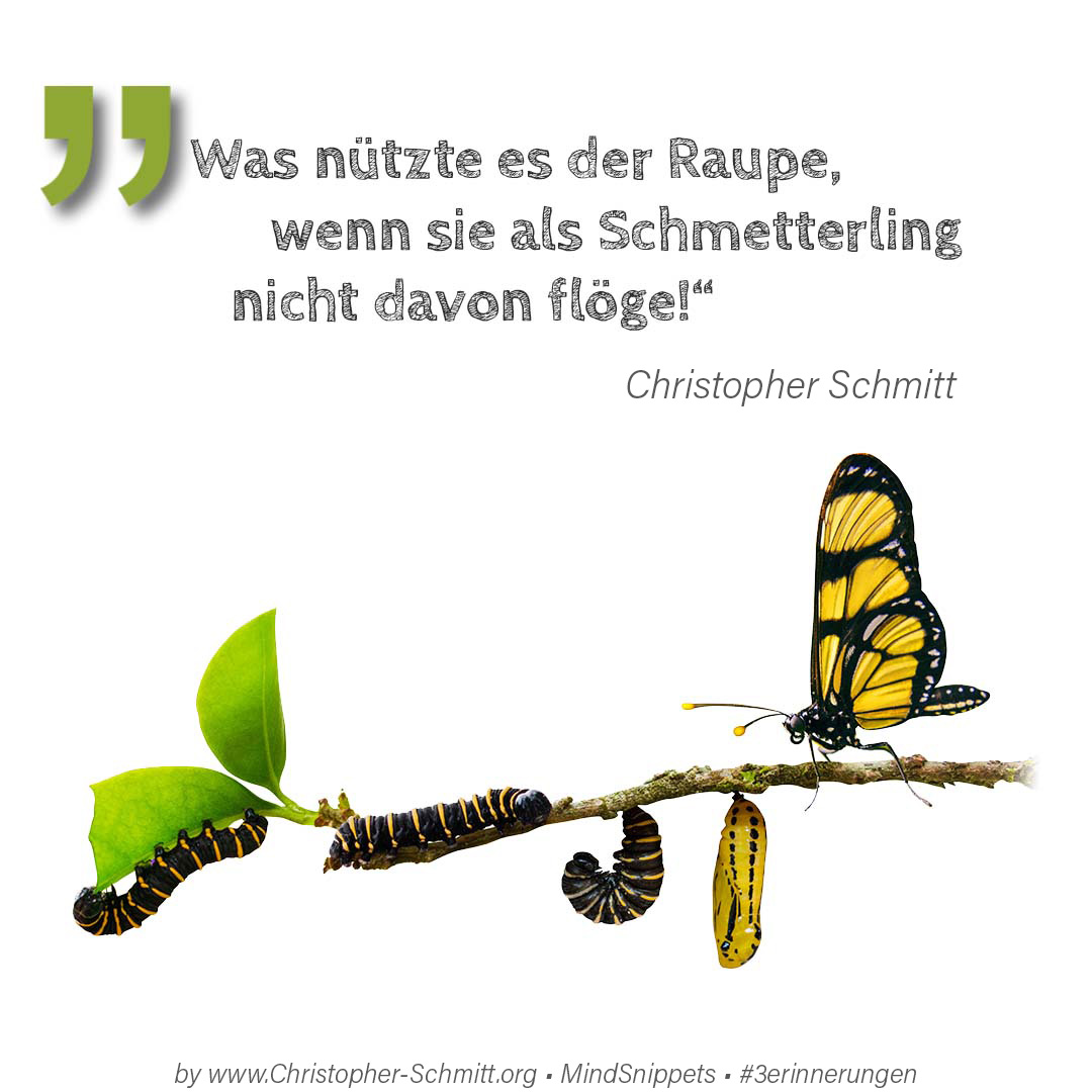 Passendes Bild zum Zitat von Christopher E. Schmitt: Was nützte es der Raupe, wenn sie als S... Passendes Social-Media-Bild zum Zitat von Christopher E. Schmitt