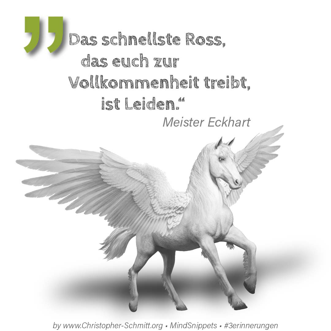 Passendes Social-Media-Bild zum Zitat von Annette Andersen